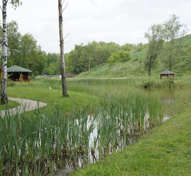 Informacje dla dekarza, cieśli, blacharza, architekta, projektanta, konserwatora i inwestora. Błędy, usterki, wilgoć i zacieki. Budowa, remonty i naprawy. Dachy płaskie, zielone i skośne. Dachówki, blachodachówki, łupek, gont, folie, papy, blachy. Konstrukcje, materiały, wykonawstwo. Więźba dachowa, drewno i prefabrykaty. Kominy i obróbki. Okna dachowe. Narzędzia i urządzenia. Izolacje i wentylacja.